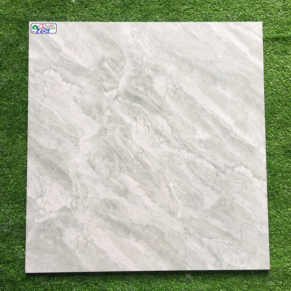 /static/images/product/CENAK-P601.jpg